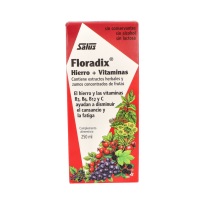 Floradix 250ml